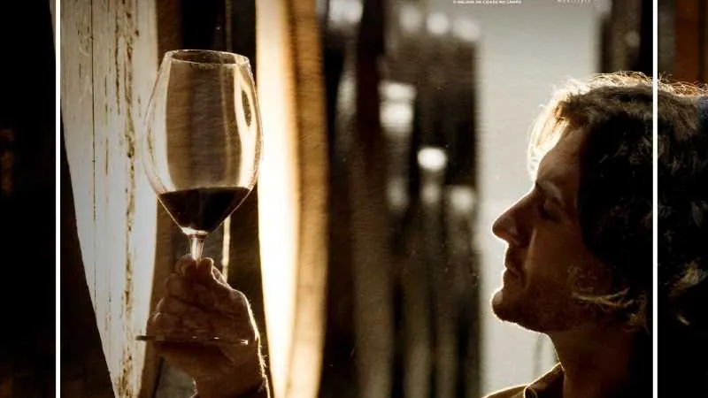 Vinho Novo Saberes Antigos Cartaxo e Azambuja